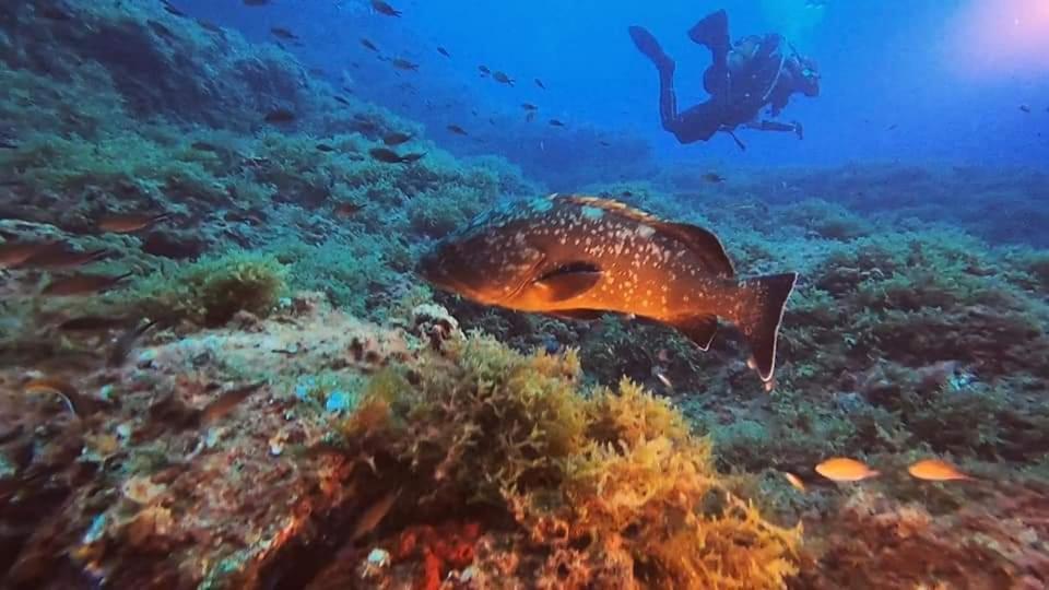 Cabo De Palos Apartamento Vacacional Bagian luar foto